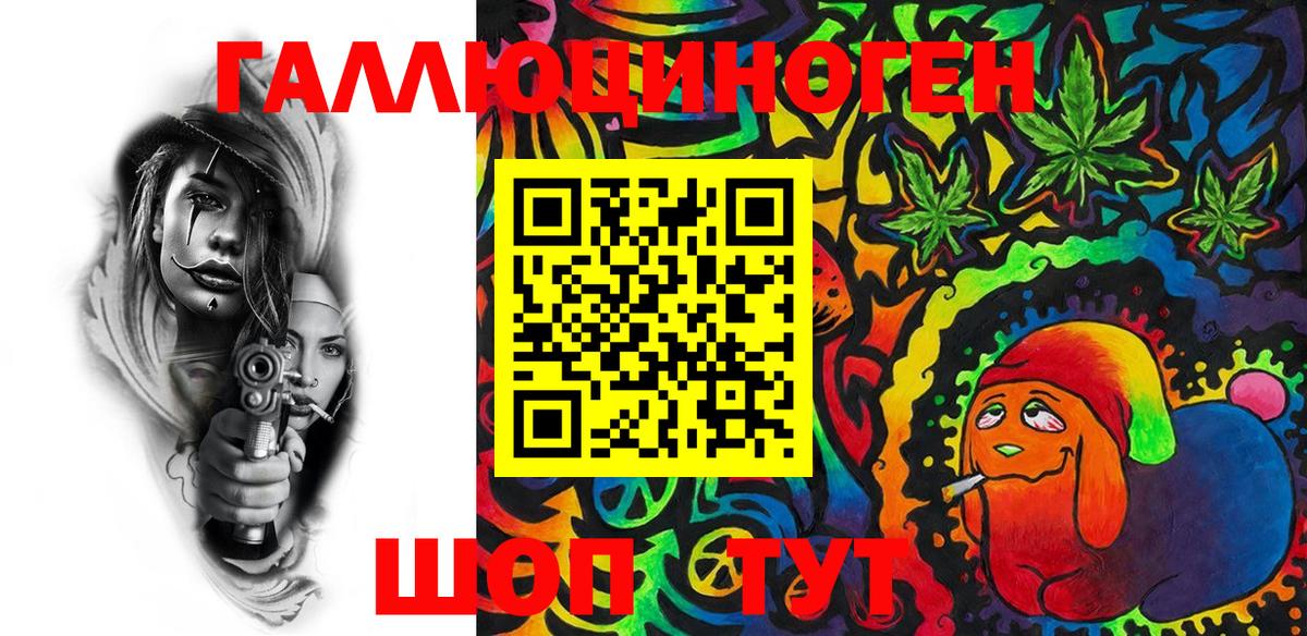Галлюциногенные грибы Psilocybine cubensis Кондопога